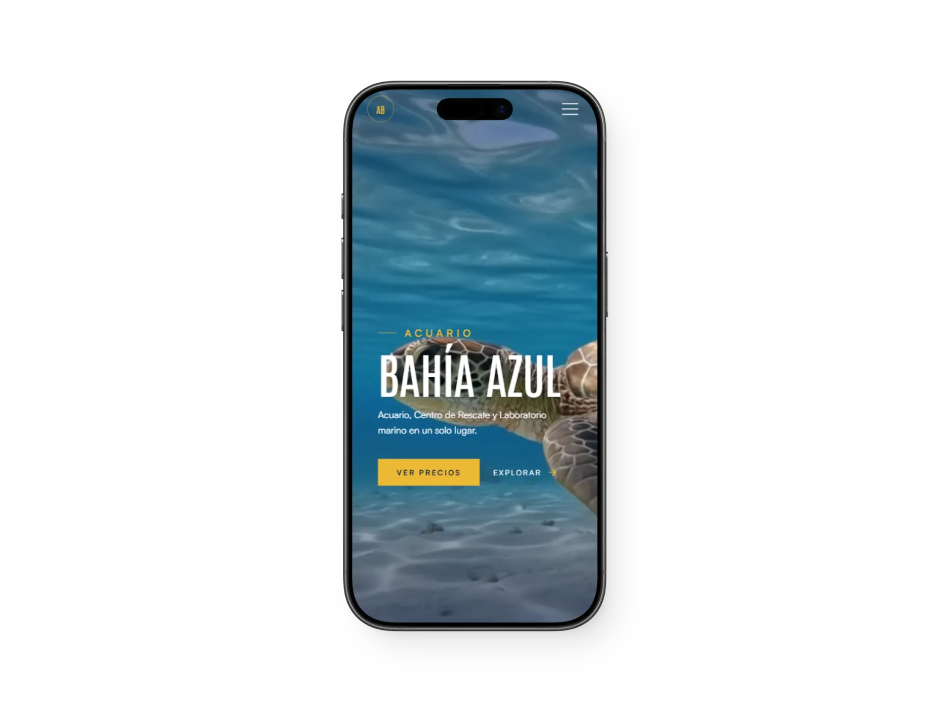 Vista mobile del proyecto