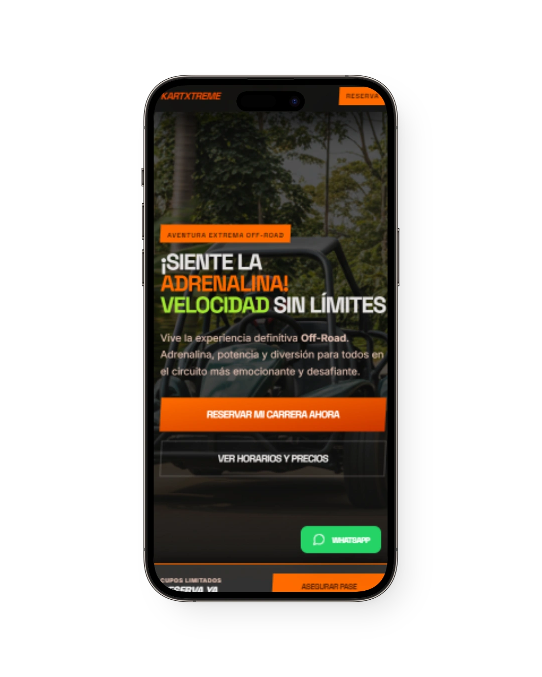 Vista mobile del proyecto